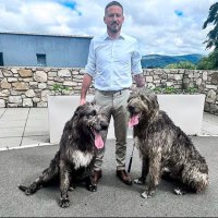 Coach John kavanagh (@coach_kavanagh) 's Twitter Profile