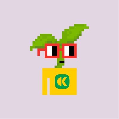 Kokonut Network