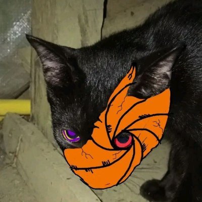 ipolozuv's profile picture. Itty bitty real pretty but I'm not soft.