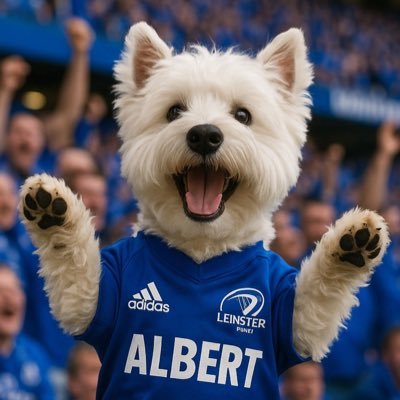 Hey, I’m Albert, Dublins most mischievous Westie ☘️ I’m a full time troublemaker keeping my humans on their toes one bark at a time 🐕 #dublindoggo #westielife