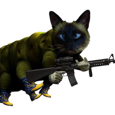 NAFO Catfella 2nd Cats Division Meow Brigade. Tardigrade, Tribble and Commando Fella Commando 2nd Special Ops Group. Digital Assassin. Sisukas nainen 👊💋👍❤️