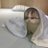 moon4mxs's profile image