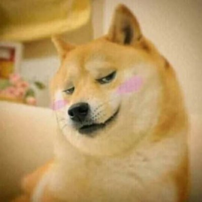 Bongdoge's profile picture. F--k Facebook.