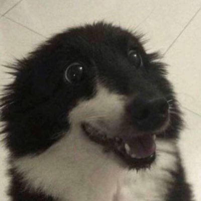 OliveWasReal's profile picture. BIOLUMINESCENT LAVENDER || A STAR ON THE GROUND