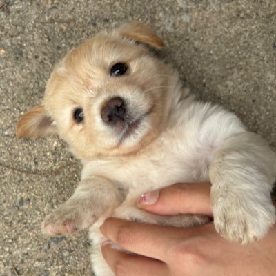 haoloolol's profile picture. 구독,,, 그저 존잘을 좋아합니다