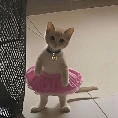 Meybe794621's profile picture. 