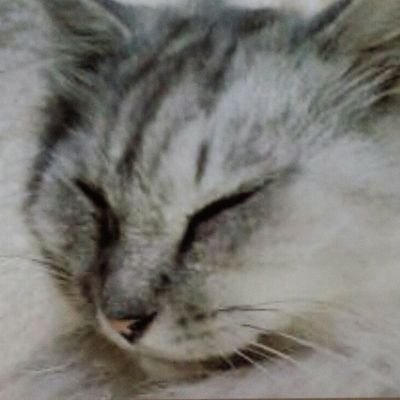 将棋*ラジオ(実況うるさいです🙇)*クラシック音楽*動物好き*甲状腺癌リンパ節転移で経過観察中*リンパ節炎再発しまくり*入退院の繰り返し*抑うつ状態で就労不能*網膜色素変性症で白杖持ち(指定難病)*精神疾患色々(精神2級)*プロフなしの方、RPのみの方、鍵垢の方はフォローされてもブロックします🙇