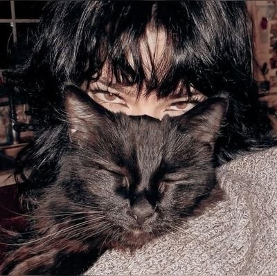 i1svall's profile picture. 