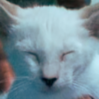 mcdh199x's profile picture. Why are you here, friendo?