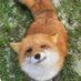 Angelo (@anyekina_) Twitter profile photo Angelo (@anyekina_) Twitter profile photo