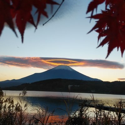 z886310861's profile picture. 