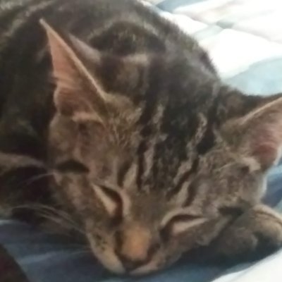 TheLuin_'s profile picture. dont follow me, at least for now