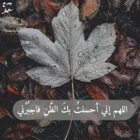 القلب الطيب ❤️ (@almsafrdh44670) 's Twitter Profile