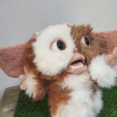 8883150issei's profile picture. 
