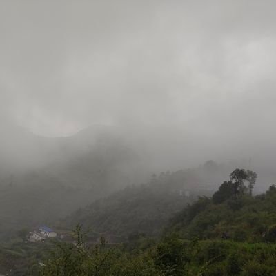 tradingvb93's profile picture. Trading Volatility | Investing my savings