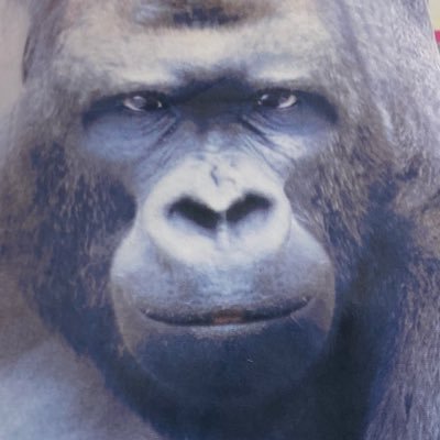 野性のえんです。好きなものを好きなだけ叫びたいオタクの壁打ち垢。 好みはあっても地雷は少ないので広範囲の雑食属性。でも周りの地雷には配慮したい故声は小さい。成人済。皆が皆の好きを尊重できる世界でいたい。世界の片隅で今日も推しを愛でる。ヒロアカ愛。エンタメが主成分。楽しいことが好き。ヘッダーはair_izukさん、感謝!