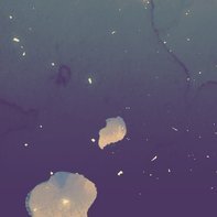 （み）さんのプロフィール画像