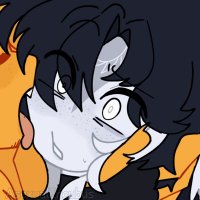 dex of shtwt (@sp4wn_g0r3) 's Twitter Profile