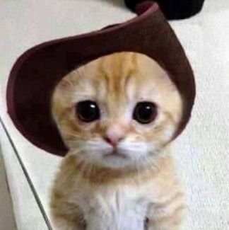 onnlyclient_sht's profile picture. ff