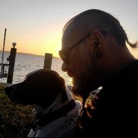 N-Shah-La🏴🏴🏴 (@n1mb0) 's Twitter Profile