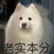 kamam1567's profile picture. 