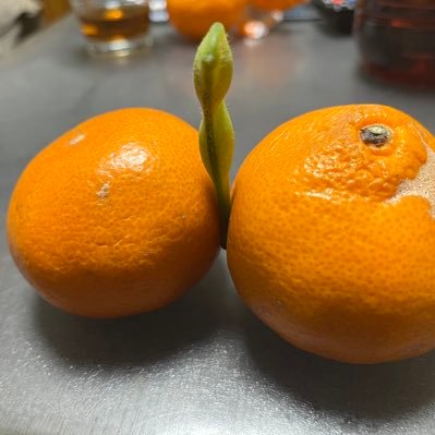 unison_poteto's profile picture. 