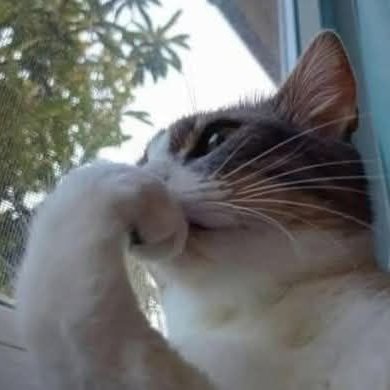 caaldam49310's profile picture. 