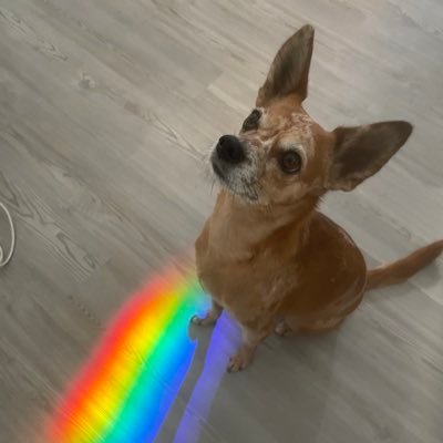 pearlinsured's profile picture. Californian Turnt Texan - MAHA - I Unf*ck Health Insurance