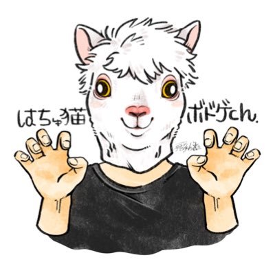 HatyunekoBDG's profile picture. 大阪で「はちゅ猫ボドゲ会」を開催/ボドゲの数は410種類以上/参加希望の方は固定ツイ参照