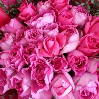 KKichi31971's profile picture. きょも担で幸せ☺️　親世代
X初心者　無言フォロー＆RTご容赦下さい
