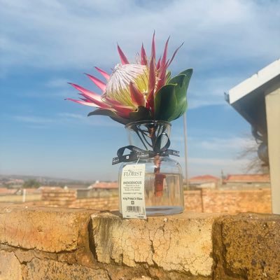 Monwalisa's profile picture. 