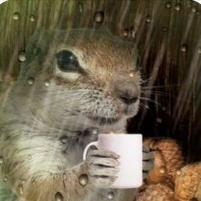 Balemzzさんのプロフィール画像