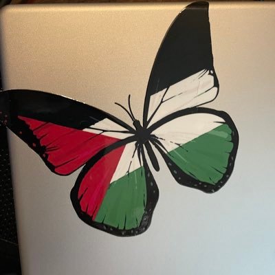 WhatSilence's profile picture. you’re not a wolf and this is the land of wolves // officially privated account // pro genshin players not allowed here // #FreePalestine