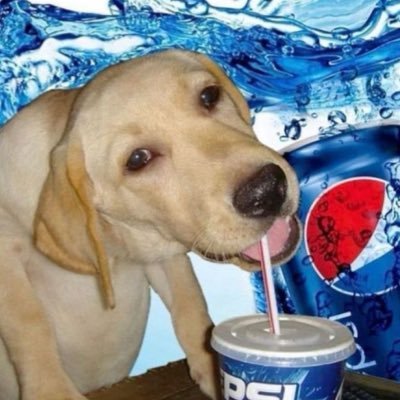 yapdogsippepsi's profile picture. i think about it all the time featuring bon iver