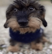 clinicaalien's profile picture. tão vigiando nois da silva