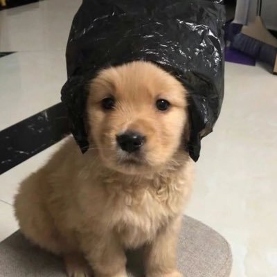 bingsoo09's profile picture. 📷📍 🐈ིྀ 𝙃𝙖𝙥𝙥𝙮 𝙈𝙤𝙢𝙚𝙣𝙩 ◡̈°