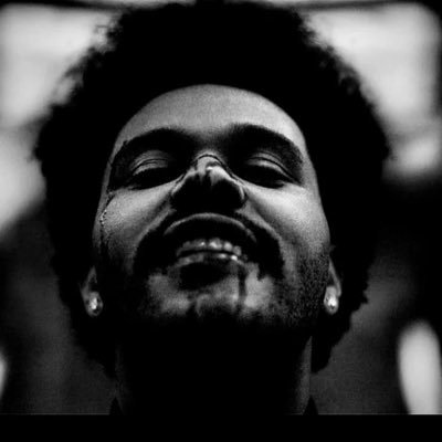 sundripZ's profile picture. idk man