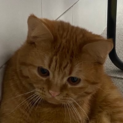 https://t.co/bFncPb7BtU Genetic 🧬 انسان محکوم به آزادیست.