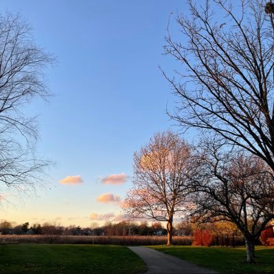 susie1696's profile picture. 