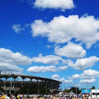 アライリョウスケ (@arai_arai_arai_) Twitter profile photo