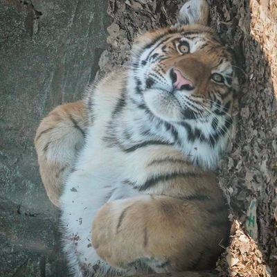 rn3457093428154's profile picture. 