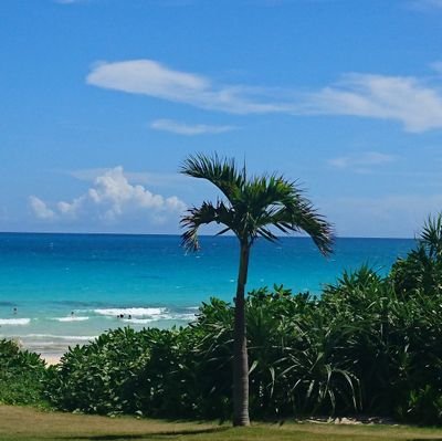 kenichiro_sien's profile picture. 相談支援専門員2年生／就労支援員10年生／サビ管0年生／おそらく死ぬまで支援の仕事と向き合い続けると思います。障害福祉全般に関わる情報収集がメインですが、よろしくお願いいたします！