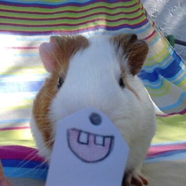 6ttibam's profile picture. 