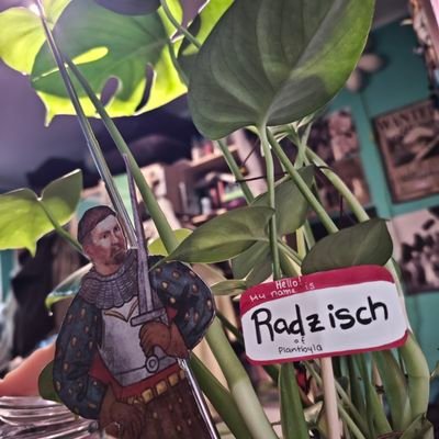 22/she|her
Proud owner of Radzisch of Plantbyla and Racek of Cardbordbyla