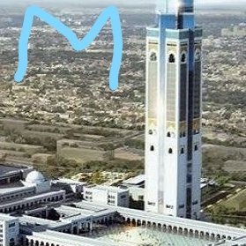 SalahBouaifel's profile picture. BMS