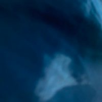 Overton (@ceo_co1) 's Twitter Profile