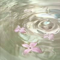 MK| ملاك (@unriov) Twitter profile photo