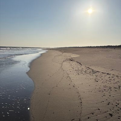 WSB20714218's profile picture. The art of tactical