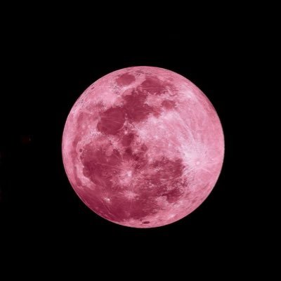 virgrudel59000's profile picture. Ⓜ️🇮🇱🇫🇷 #JeSoutiensMarine