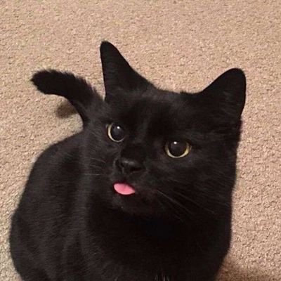 happy_happy_810's profile picture. 구독계입니다 💙